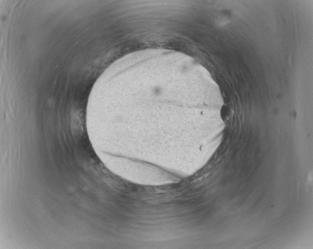 X0000074950772200609291846