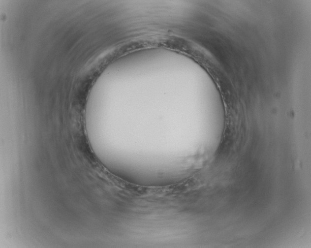 X0000074950773200609291846