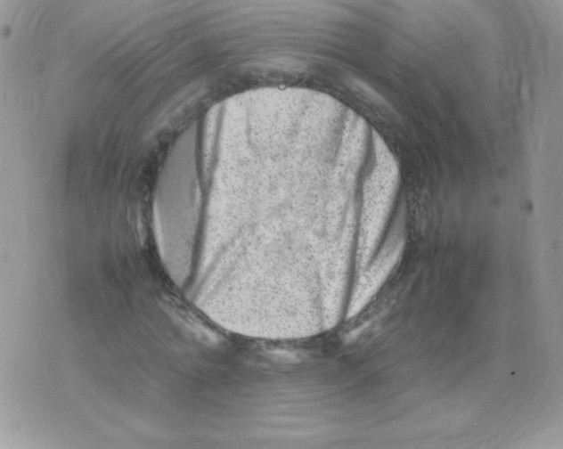 X0000074950774200609291846