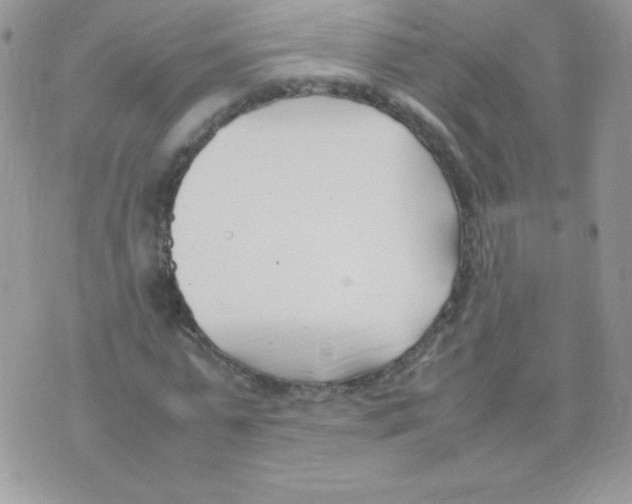 X0000074950775200609291846