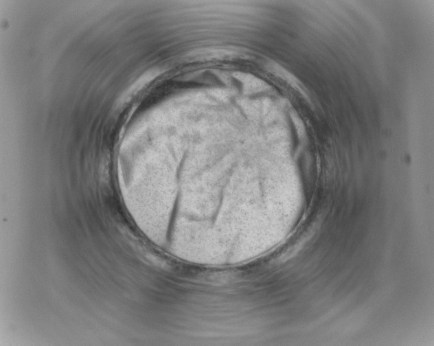 X0000074950778200609291846