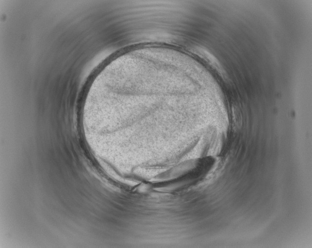 X0000074950780200609291846