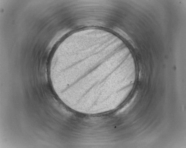 X0000074950782200609291846