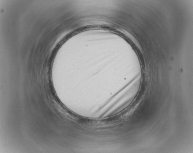 X0000074950783200609291846