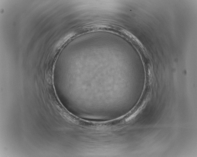 X0000074950785200609291846