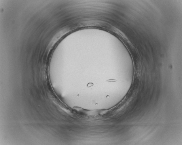 X0000074950786200609291846