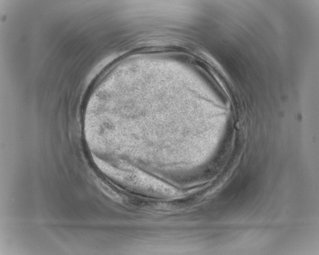 X0000074950787200609291846