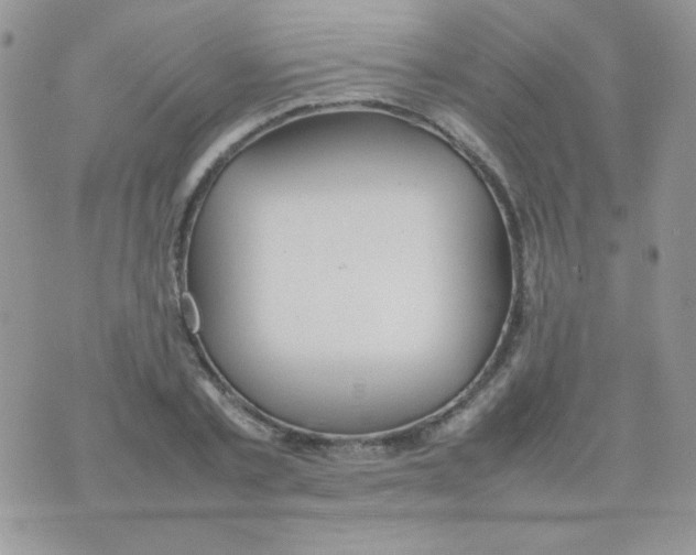 X0000074950789200609291846