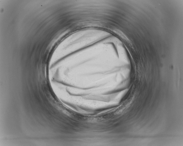 X0000074950790200609291846