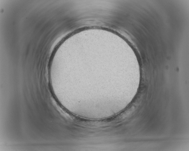 X0000074950791200609291846