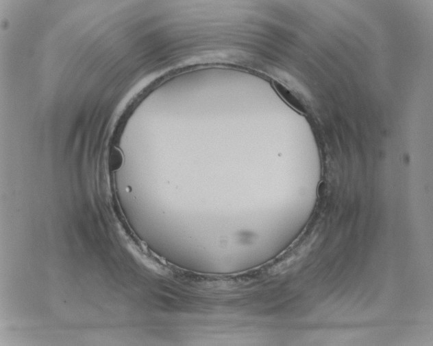 X0000074950792200609291846