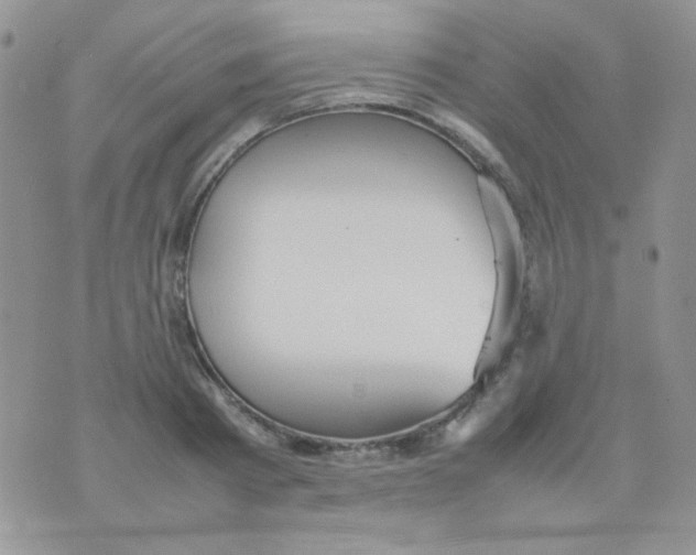 X0000074950793200609291846