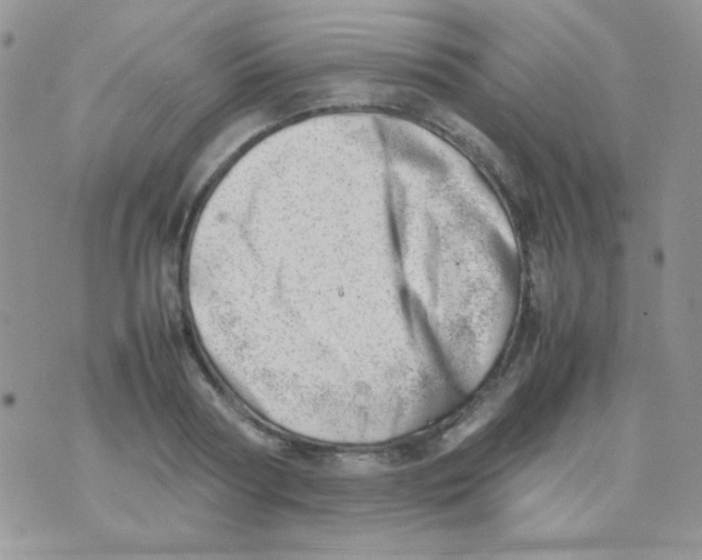 X0000074950794200609291846