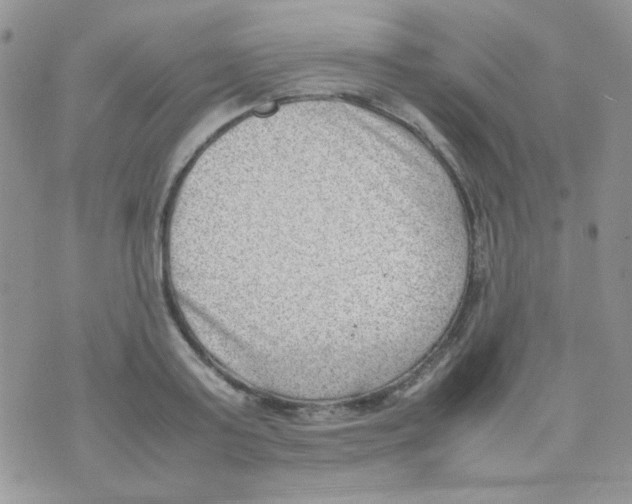 X0000074950795200609291846