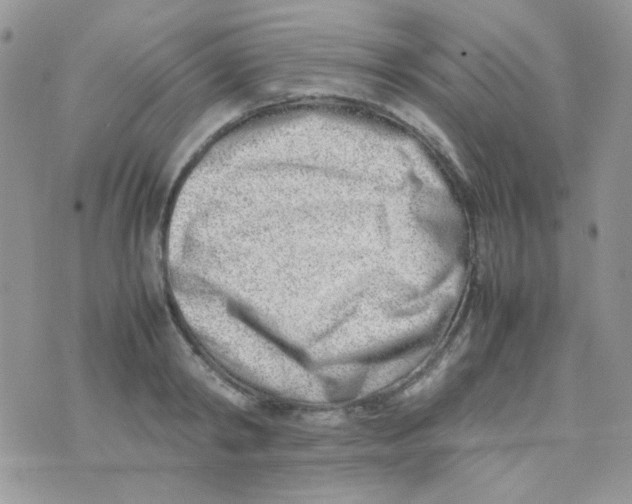 X0000074950798200609291846