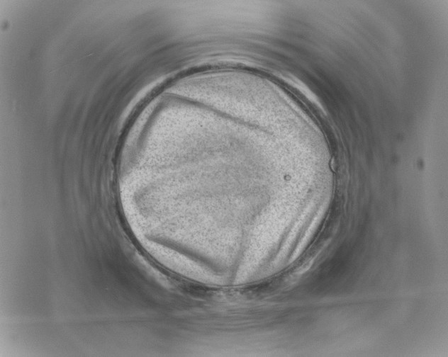 X0000074950799200609291846