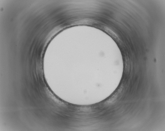 X0000074950800200609291846