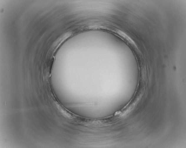 X0000074950801200609291846