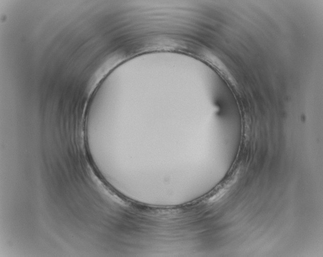 X0000074950802200609291846