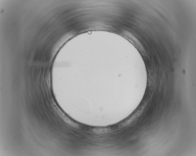 X0000074950804200609291846