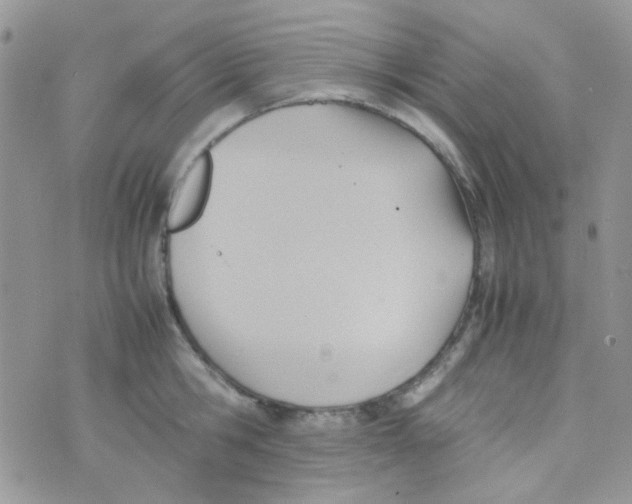 X0000074950806200609291846