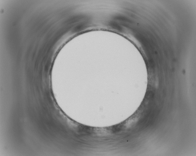 X0000074950807200609291846