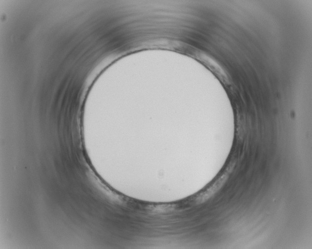 X0000074950808200609291846