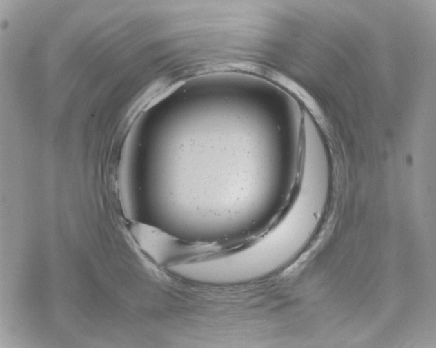 X0000074950809200609291846