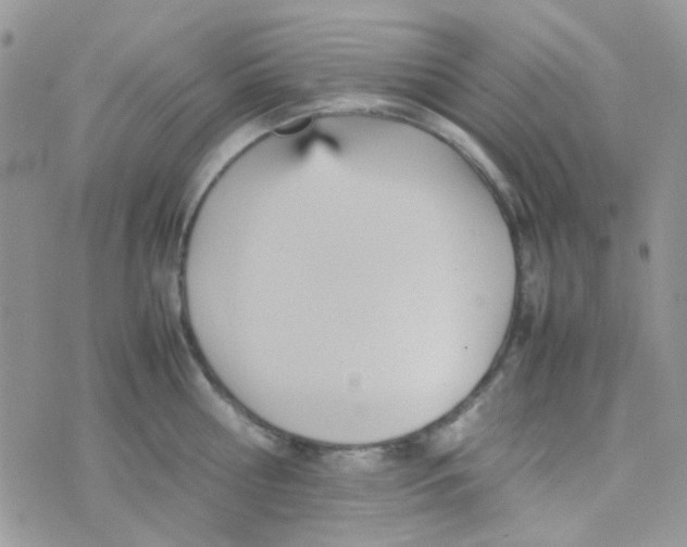 X0000074950810200609291846