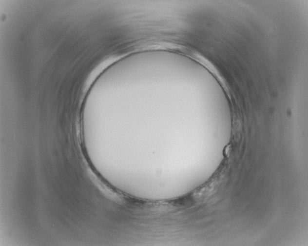 X0000074950811200609291846