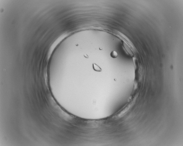 X0000074950812200609291846