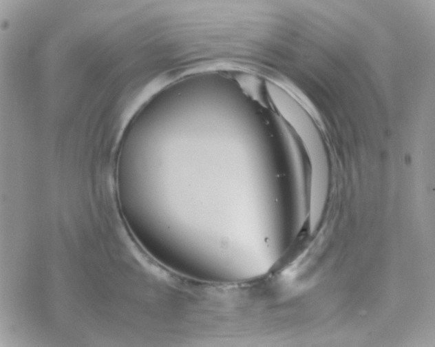 X0000074950813200609291846