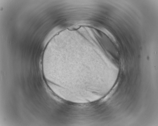 X0000074950814200609291846