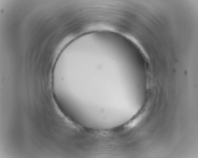 X0000074950815200609291846