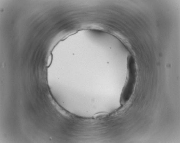 X0000074950816200609291846