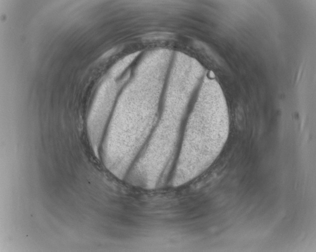 X0000074950821200609291845