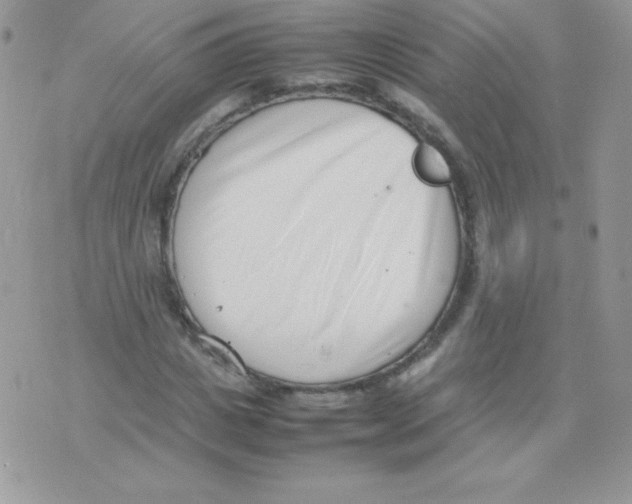 X0000074950825200609291845