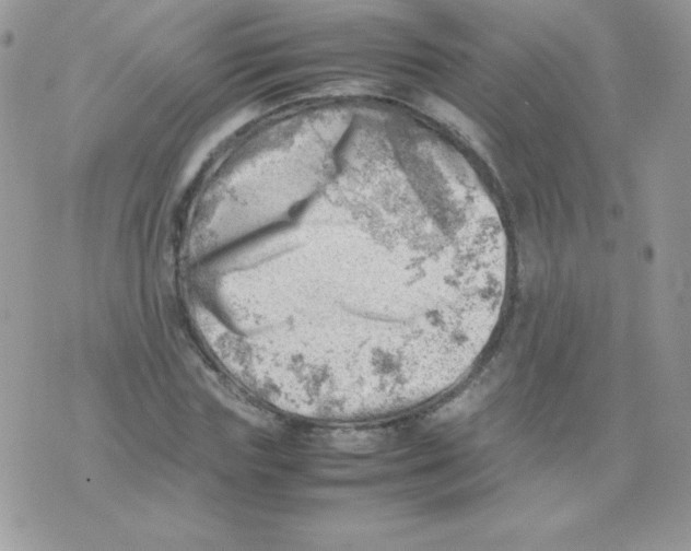 X0000074950827200609291845