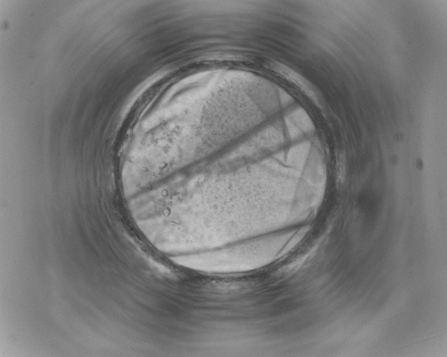 X0000074950829200609291845