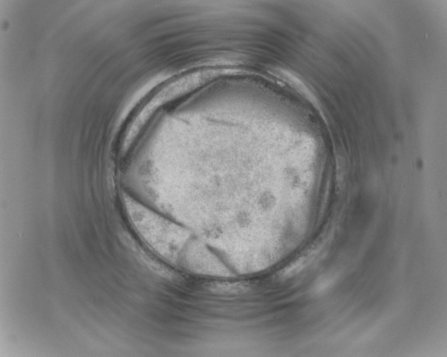 X0000074950835200609291845