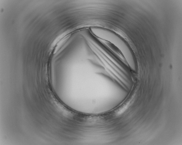 X0000074950842200609291845