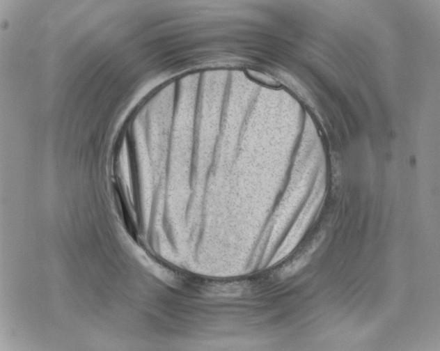 X0000074950843200609291845