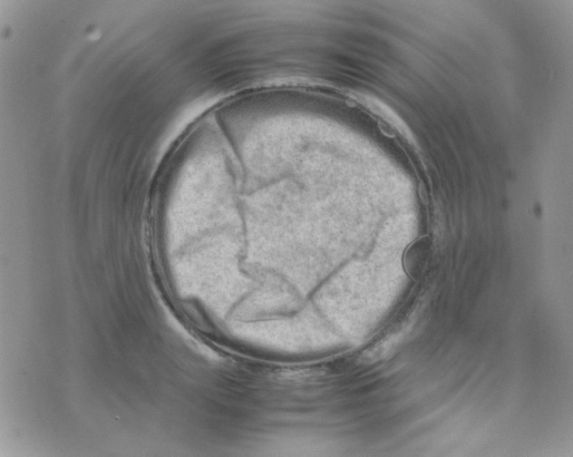 X0000074950847200609291845