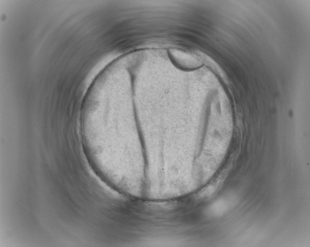 X0000074950855200609291846