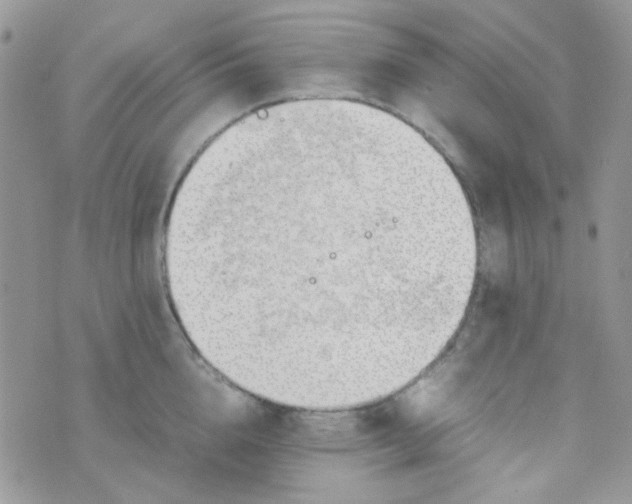 X0000074950856200609291846