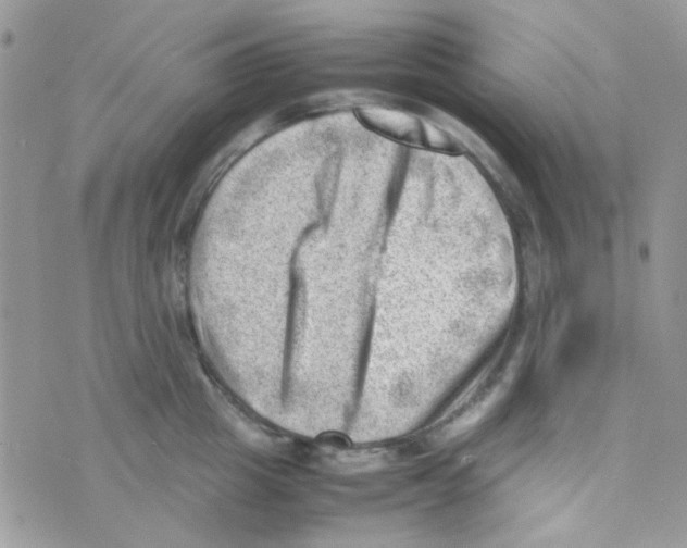 X0000074950857200609291846