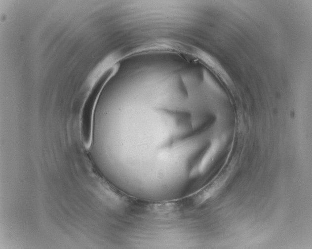 X0000074950858200609291846