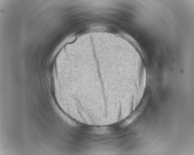 X0000074950859200609291846