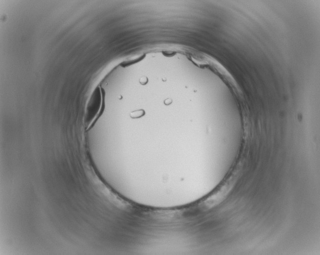 X0000074950860200609291846