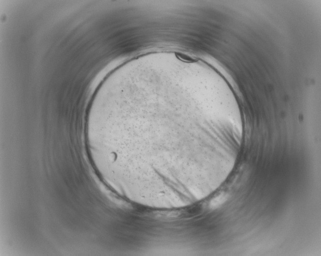 X0000074950861200609291846